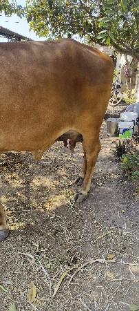 थंबनेल 3