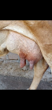 थंबनेल 2