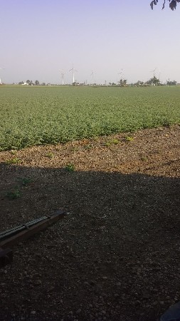 10/ 2/  વિઘાસે  બે કુવાસે