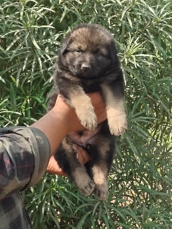 थंबनेल 3