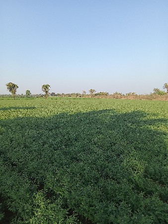 थंबनेल 2