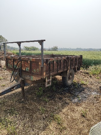 ટોલી વેસવાની છે