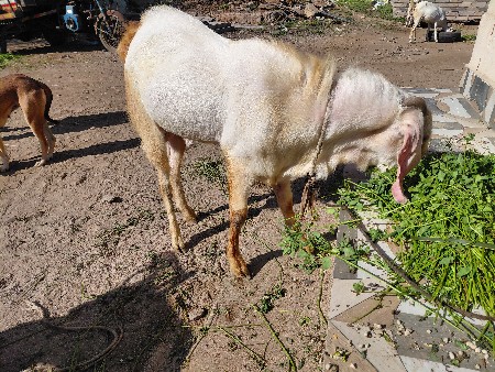 थंबनेल 2