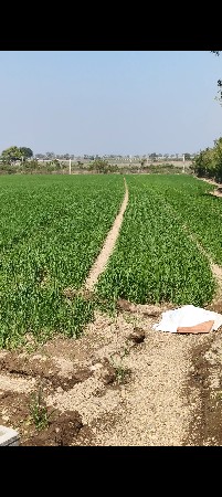 જમીન લેવા માટે અમારો કોન્ટેક્ટ