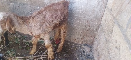 थंबनेल 2