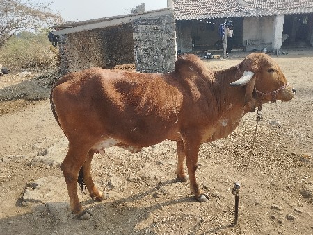 थंबनेल 2