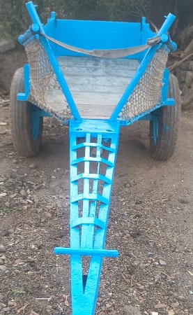 थंबनेल 3