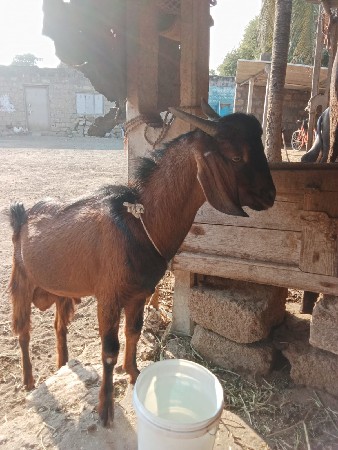 थंबनेल 3