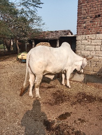 थंबनेल 2