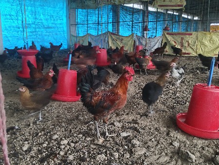 थंबनेल 3