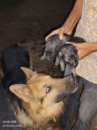 थंबनेल 2