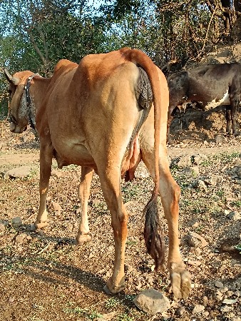 થંબનેલ 2