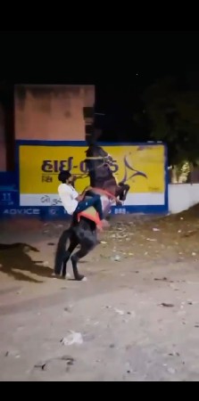 थंबनेल 2