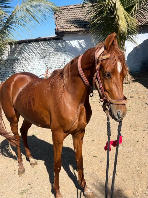 થંબનેલ 3