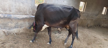 थंबनेल 2