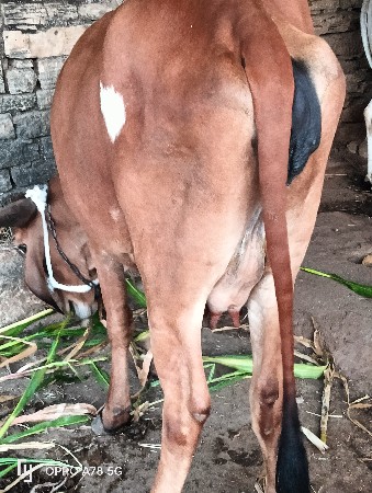 थंबनेल 2