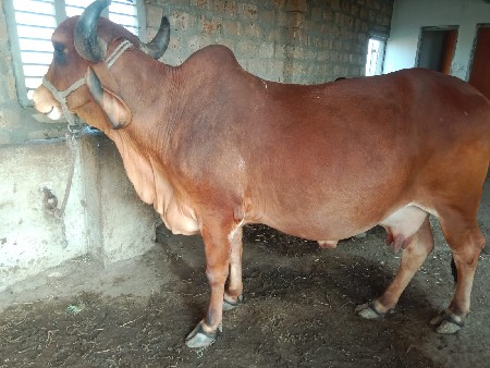 थंबनेल 3