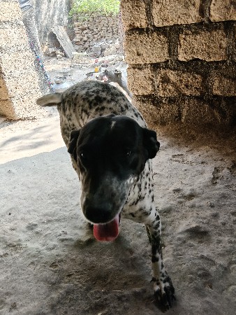 थंबनेल 2