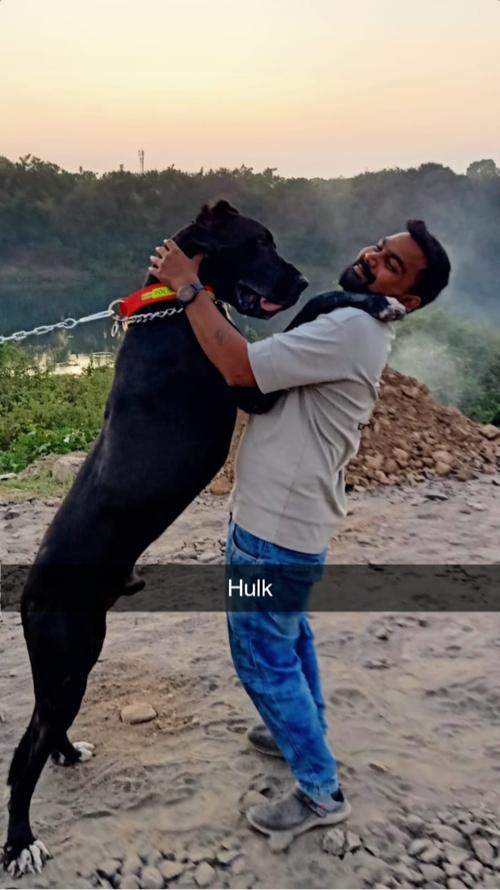 થંબનેલ 3