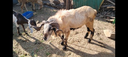 થંબનેલ 3