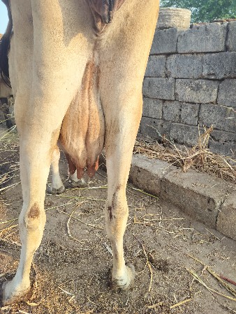 थंबनेल 2