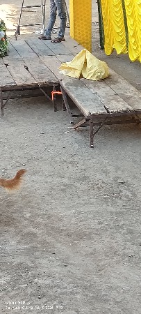 લગ્ન ના ટેબલ