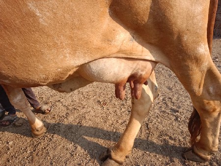 थंबनेल 2