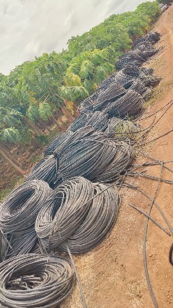 થંબનેલ 5