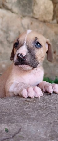 પોરબંદર