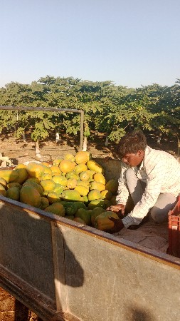 थंबनेल 2