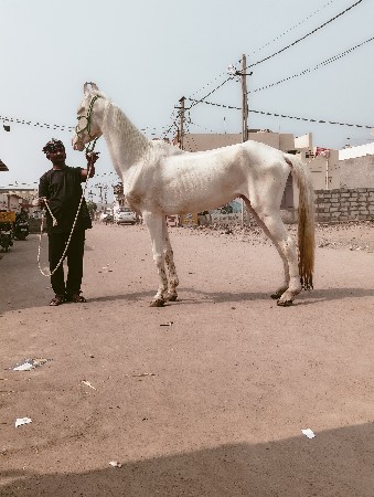 थंबनेल 2