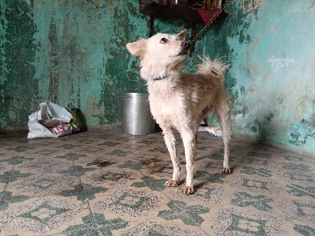 थंबनेल 2