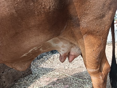 થંબનેલ 2