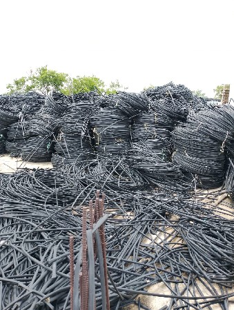 थंबनेल 5