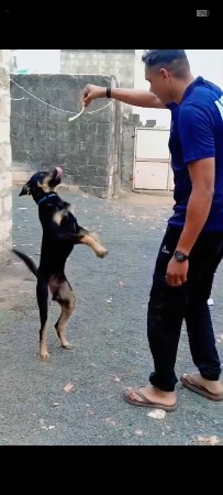 थंबनेल 2