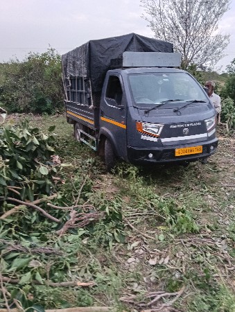 थंबनेल 2