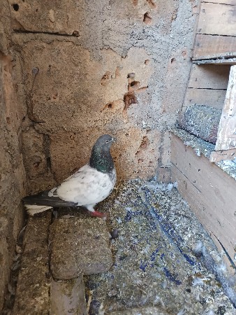 थंबनेल 3