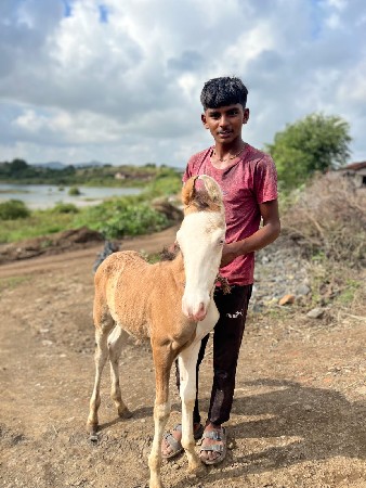 aa vasero vesvano se