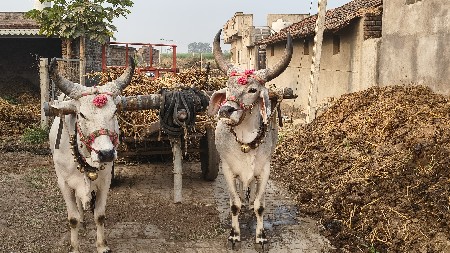 थंबनेल 2