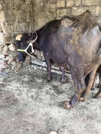 દેવભૂમિ દ્વારકા જિલ્લો તાલુકો કલ્ય