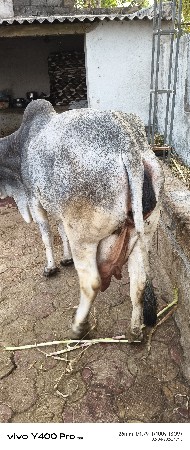 थंबनेल 3