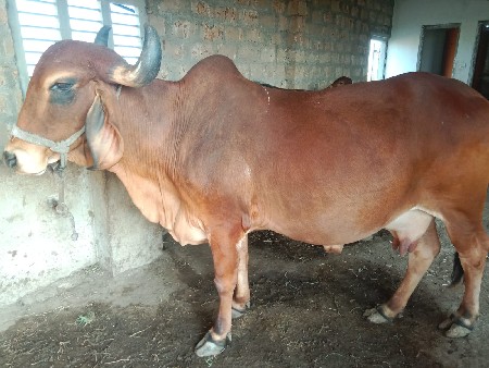 थंबनेल 2