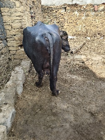 थंबनेल 2