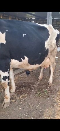 थंबनेल 2