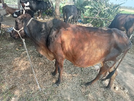 थंबनेल 3