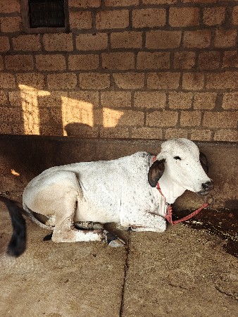 थंबनेल 2