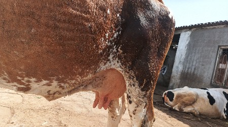 थंबनेल 2