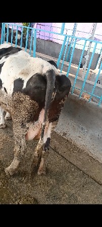 थंबनेल 3