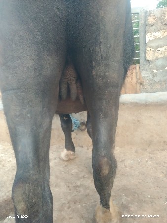 थंबनेल 2