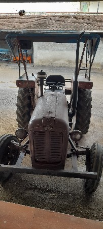 messy furguson  di 1035